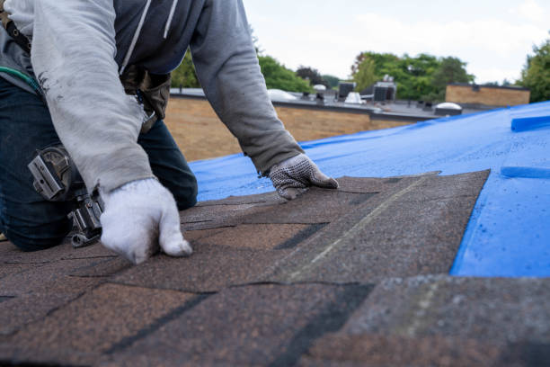 Best Tile Roofing Contractor  in Ivanhoe, TX