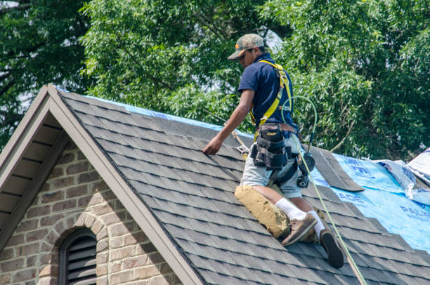 Quick and Trustworthy Emergency Roof Repair Services in Ivanhoe, TX